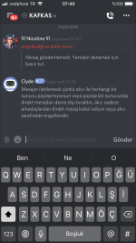 2619 2619