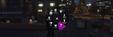 f3radialmenu.png f3radialmenu.png