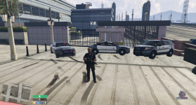 15593 15593