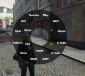 16335 16335