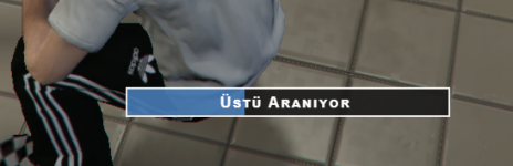 19936 19936