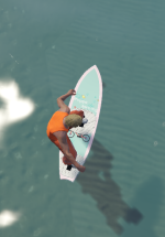 21732 21732