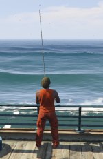 21733 21733