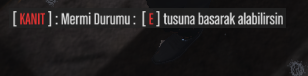 21742 21742