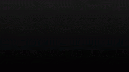 24533 24533