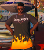 24883 24883