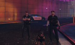 Police In Game.png Police In Game.png