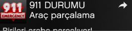 3956 3956