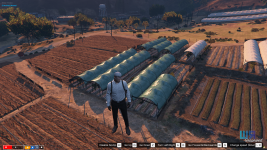 28631 28631