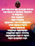 29047 29047
