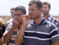 çekirdek.png