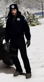 37381 37381