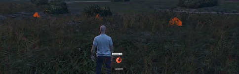 38456 38456