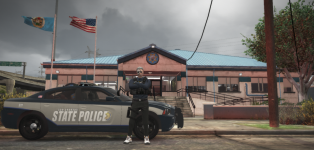 state_giris.png