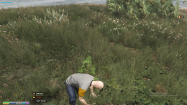 unknown14.png