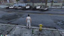 44075 44075