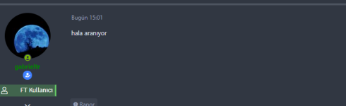 Ekran Alıntısı2.PNG