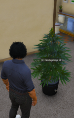 Screenshot_65.png