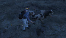 6133 6133