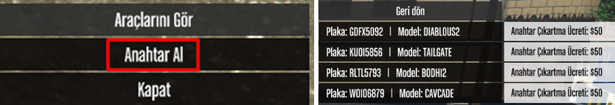 56181 56181