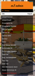 57916 57916