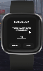 Fitbit2.png