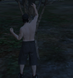 unknown (21).png
