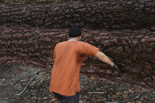 unknown.png unknown.png