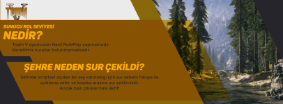 sunucu rol seviye.png