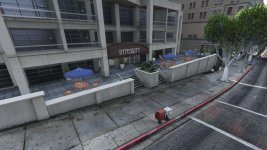 63113 63113