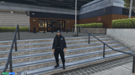 police 3.png