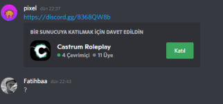 65533