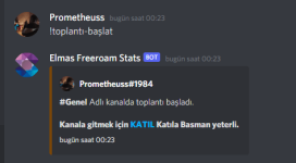 66597 66597