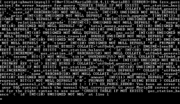 67133