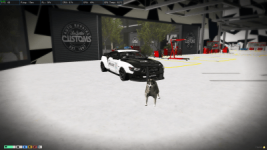 polisk91.png