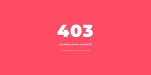 69559 69559