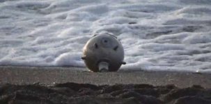 72341