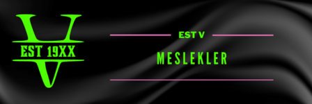 Pembe_Mavi_ve_Siyah_Gradyan_Twitch_Banner_3.png Pembe_Mavi_ve_Siyah_Gradyan_Twitch_Banner_3.png