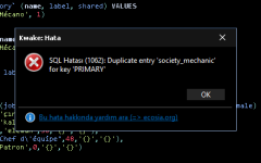 resim_2022-06-29_031359315.png
