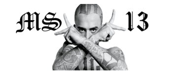 ms13 1.png