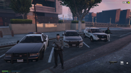 polis.png polis.png