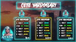 tasarm çete.png