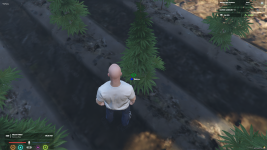 Screenshot_143.png