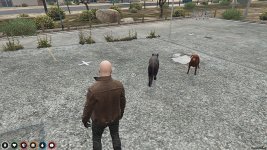 pets.jpg pets.jpg