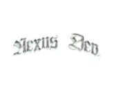 nexusy2k.png