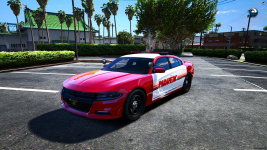 resim_2025-06-05_094810841.png