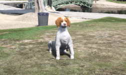resim_2025-08-24_071237789.png