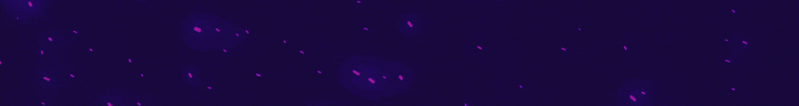 NOVA RP MOR.gif