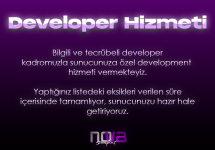 developer hizmeti.png