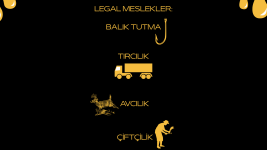 SOCİAL V2 (3).png SOCİAL V2 (3).png